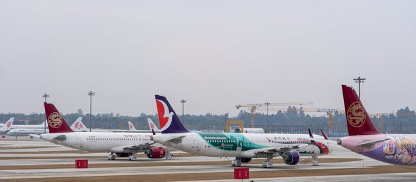 Uncover scotland"s coastal gems: explore the best summer puffin photography locations!